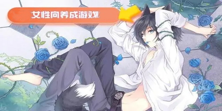 女性向恋爱养成类手游