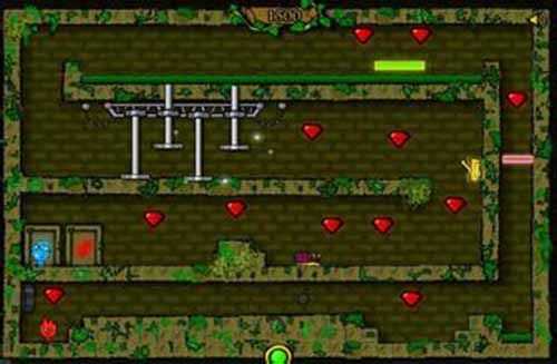 森林冰火人中文版