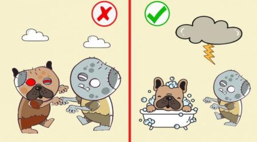 拯救狗狗们(Save The Dogs)