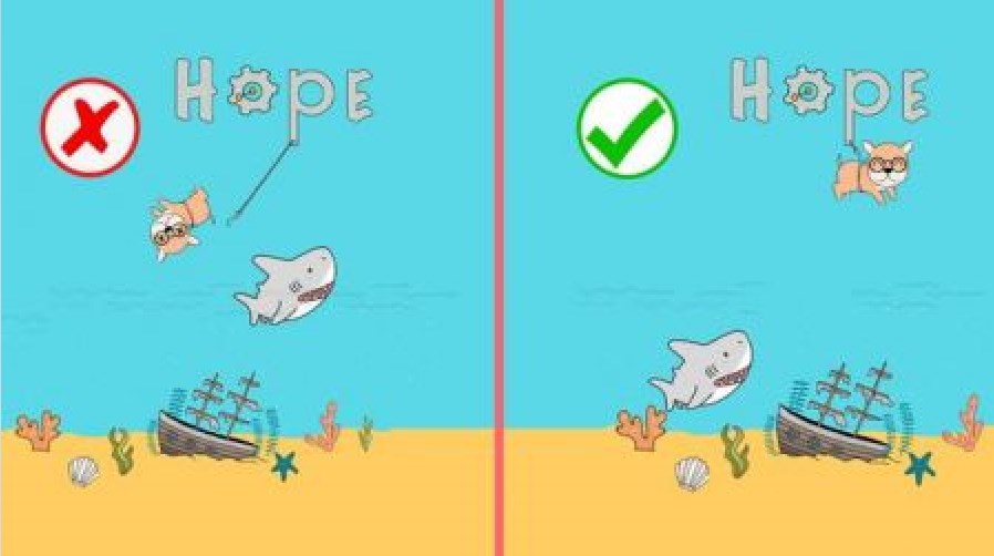 拯救狗狗们(Save The Dogs)