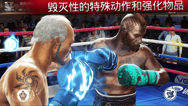 真实拳击2中文版(Real Boxing 2)