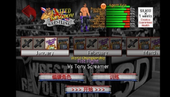 环斗摔跤3D(Ring combat: Wrestling Game 3D)