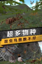 蜘蛛生存模拟器(Spider Survival)