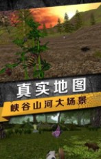 蜘蛛生存模拟器(Spider Survival)