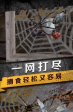 蜘蛛生存模拟器(Spider Survival)