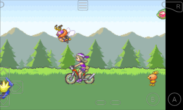 口袋妖怪漆黑的魅影（金手指）