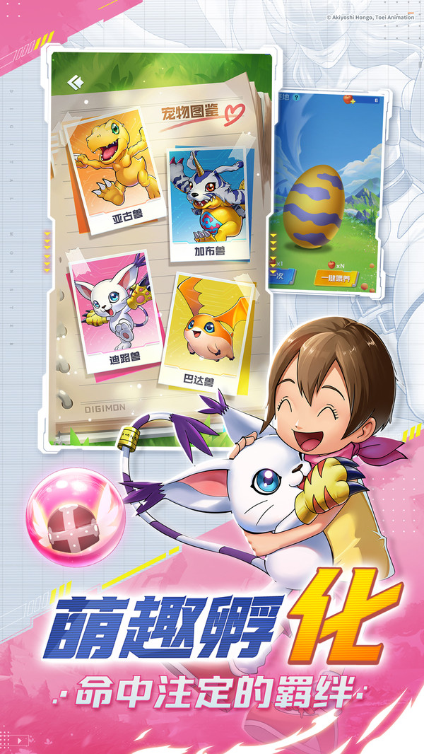 球球英雄全部解锁满级版