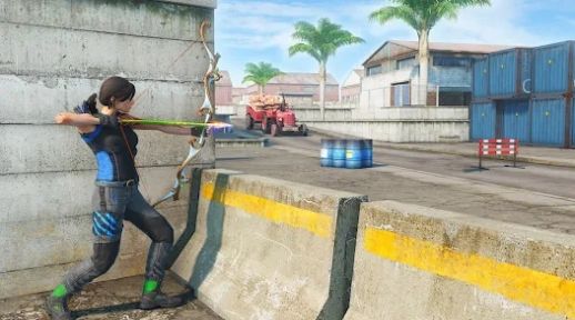 弓箭手刺客射击(Archer Assassin shooting game)