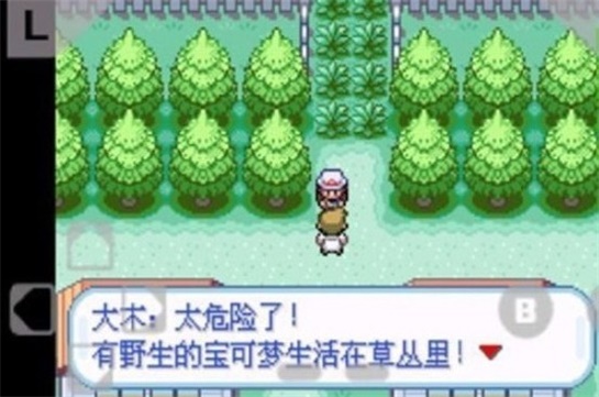 口袋妖怪火红版下载-口袋妖怪火红汉化版下载v1.0.0