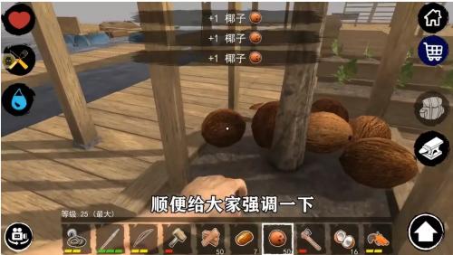 孤舟求生联机版下载-孤舟求生联机中文版下载