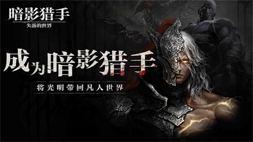 暗影猎手失落的世界（无限钻石）