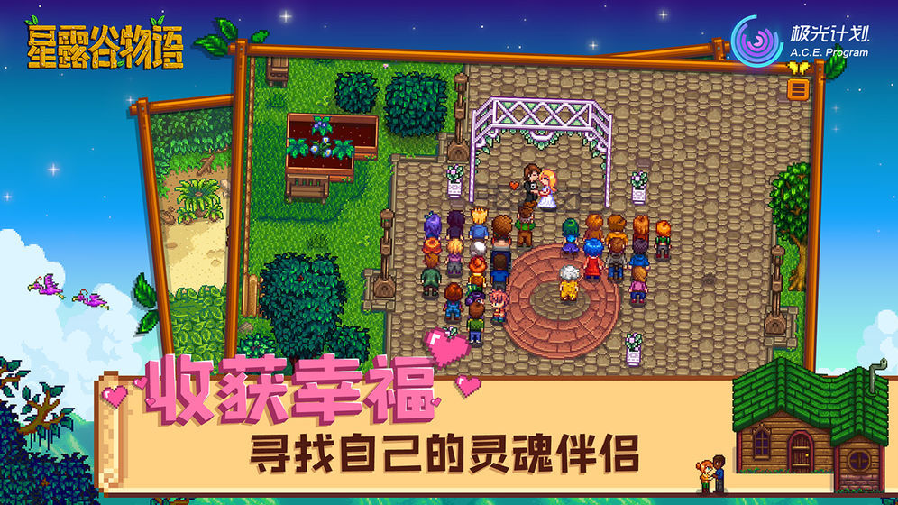 星露谷物语(魔改版粉色)(Stardew Valley)