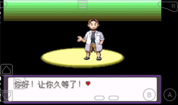 口袋妖怪漆黑的魅影