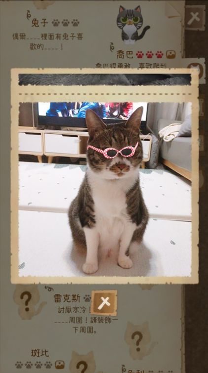 猫咪和秘密森林(Secret Cat Forest)