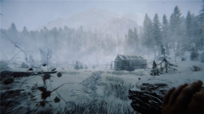 森林之子（联机版）