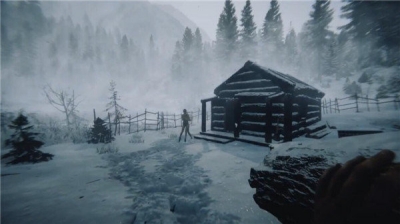 森林之子（联机版）