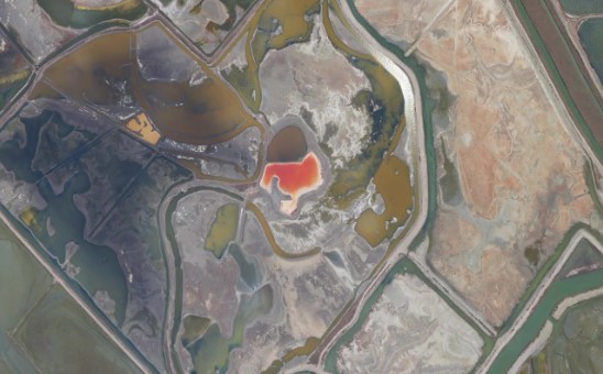 微软模拟飞行(Airplane: Real Flight Simulator)