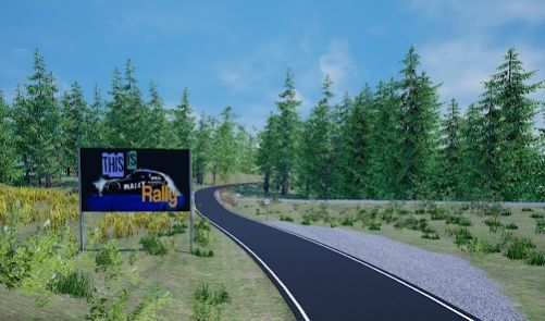 这就是拉力赛(ThisIsRally)
