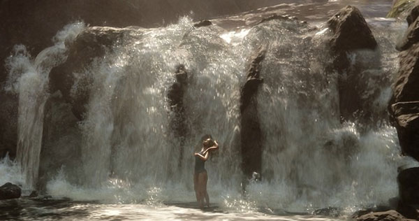 森林之子（正版）