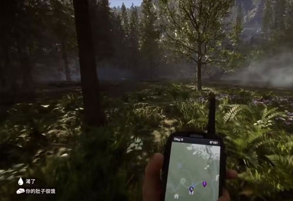 森林之子（正版）