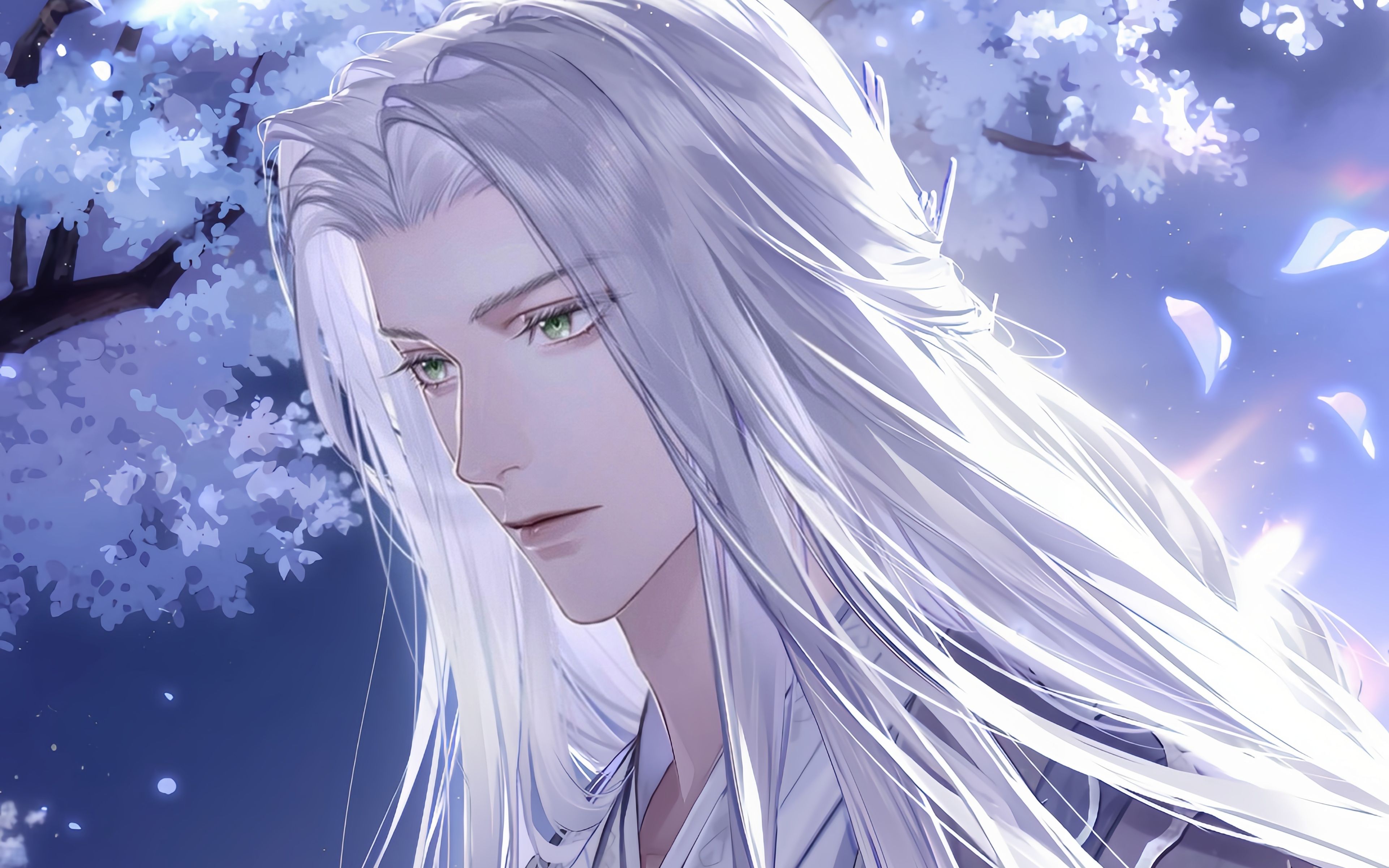 代号鸢官方正版