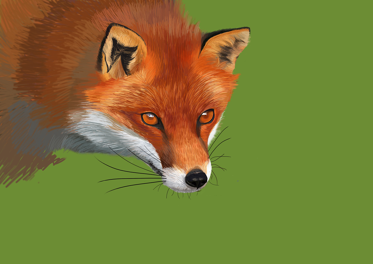 和狐狸有关的游戏