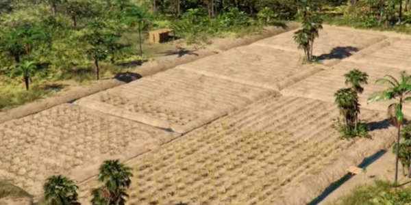 农夫模拟器(Field Farmers)