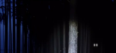 永远不要尖叫(Never Scream)