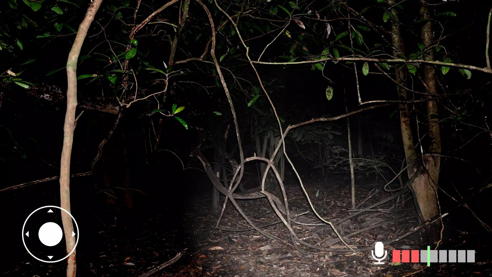 永远不要尖叫安卓版下载-永远不要尖叫(Never Scream)安卓单机版下载v2.0.0