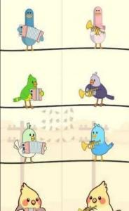 鸟儿二重唱安卓版下载-鸟儿二重唱正版手机下载v1.0