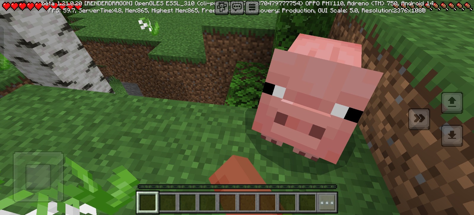 我的世界珍妮模组手机版(Minecraft)