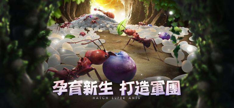 小小蚁国37版本