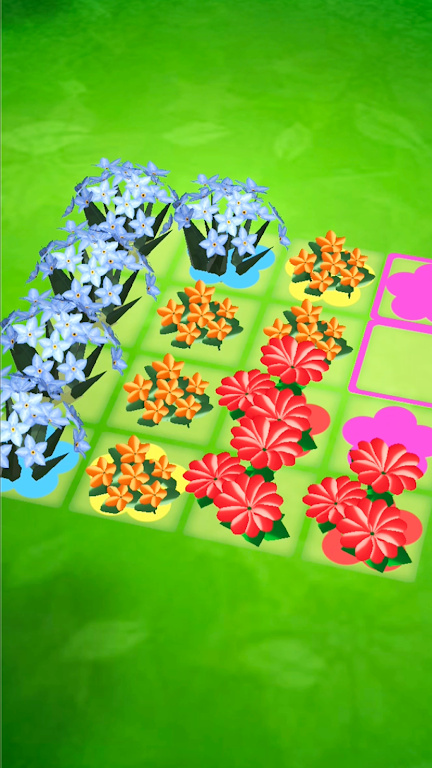 植物开花合成(Botanical Bloom)