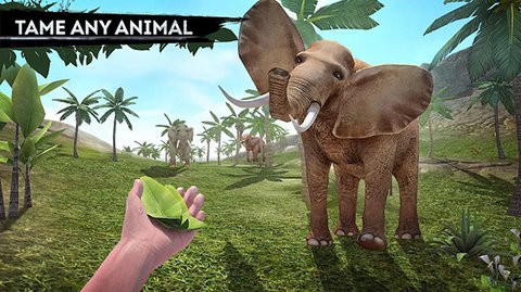 幸存者冒险生存岛中文版