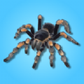史诗怪物收集器(Epic Bug Collector)