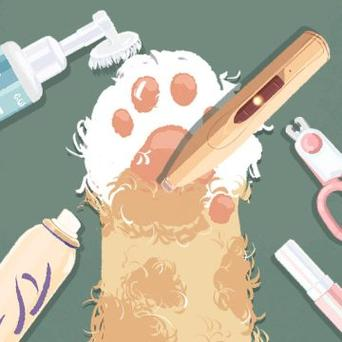 收纳物语版本大全