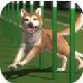 夺魁者(Top Dogs)