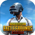 PUBG MOBILE(地铁逃生手机版)