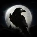 夜鸦NIGHT CROWS