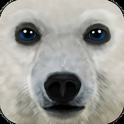终极北极模拟器(ArcticSim)