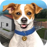 动物收容所模拟器(Animal Shelter Simulator)