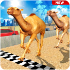 沙漠骆驼模拟器(Camel Desert Race Simulator - Animals Racing 3D)