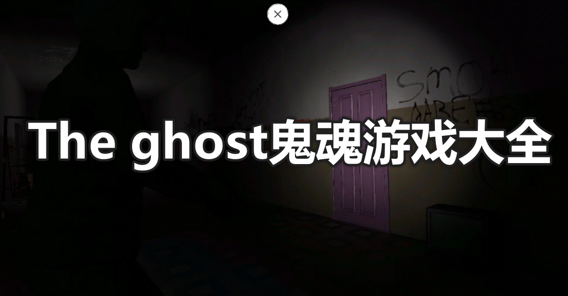 the ghost版本大全