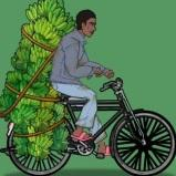 奥德彪拉香蕉袭记