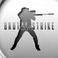 野蛮打击官方正版(BrutalStrike v3728)
