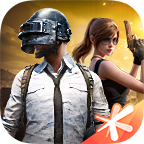 刺激战场老阿姨