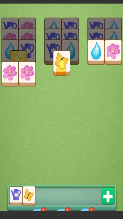 我的花园装修日记