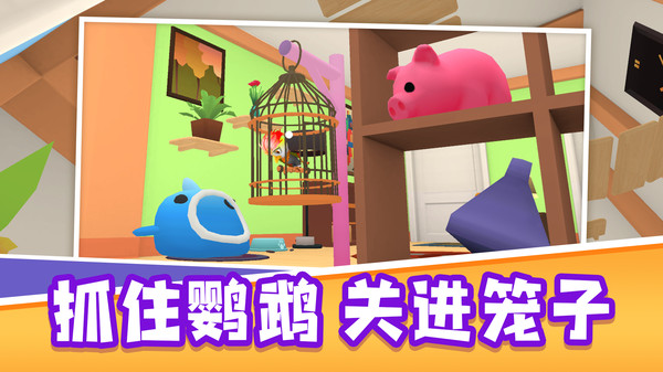 艾拉的小镇生活