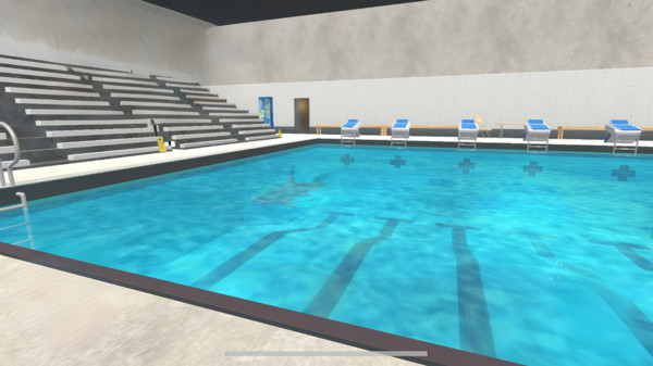 泳池里的鲨鱼正版