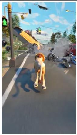 动物奔跑狂野赛跑(Animal Run: Wild Race)